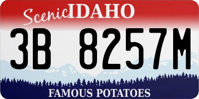 ID license plate 3B8257M