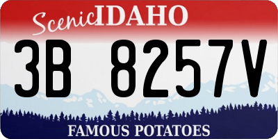 ID license plate 3B8257V