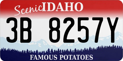 ID license plate 3B8257Y