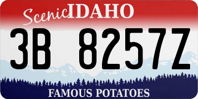 ID license plate 3B8257Z