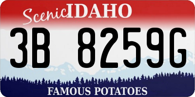 ID license plate 3B8259G