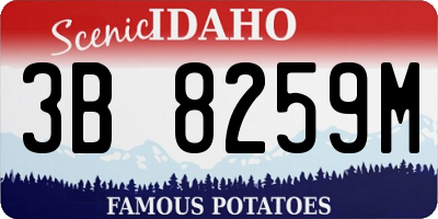 ID license plate 3B8259M