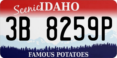 ID license plate 3B8259P