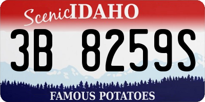 ID license plate 3B8259S