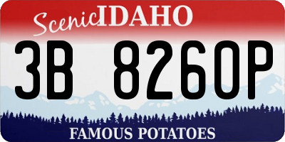 ID license plate 3B8260P