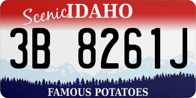 ID license plate 3B8261J