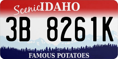 ID license plate 3B8261K