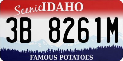 ID license plate 3B8261M