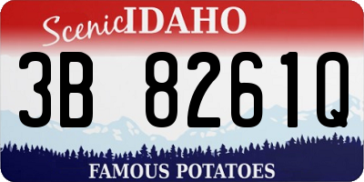 ID license plate 3B8261Q