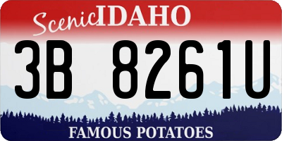 ID license plate 3B8261U