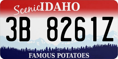 ID license plate 3B8261Z