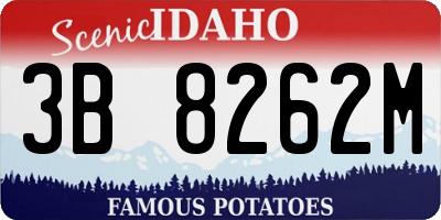 ID license plate 3B8262M