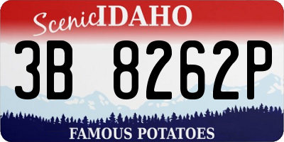 ID license plate 3B8262P