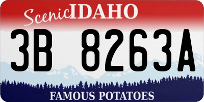 ID license plate 3B8263A