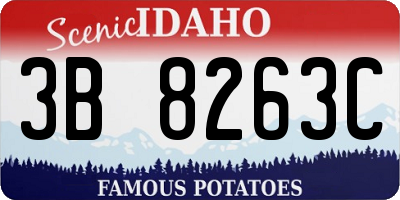 ID license plate 3B8263C