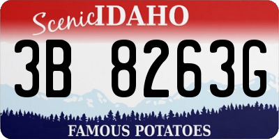 ID license plate 3B8263G
