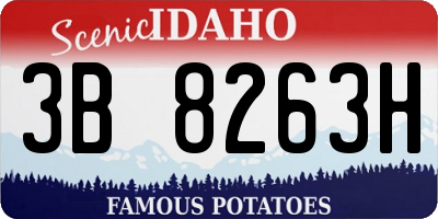 ID license plate 3B8263H