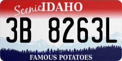 ID license plate 3B8263L