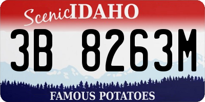 ID license plate 3B8263M