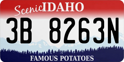 ID license plate 3B8263N