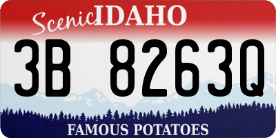 ID license plate 3B8263Q
