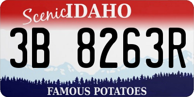 ID license plate 3B8263R