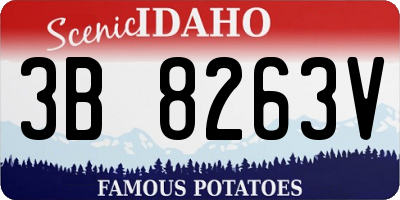 ID license plate 3B8263V