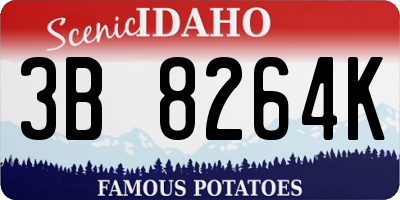 ID license plate 3B8264K