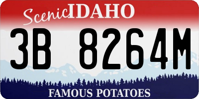 ID license plate 3B8264M
