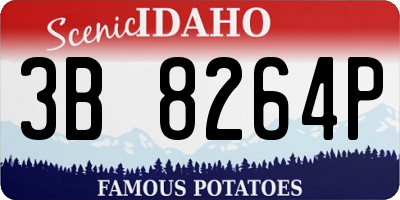 ID license plate 3B8264P