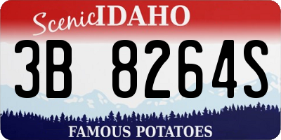 ID license plate 3B8264S