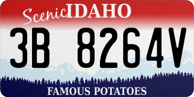 ID license plate 3B8264V