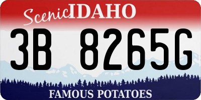 ID license plate 3B8265G