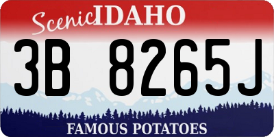 ID license plate 3B8265J