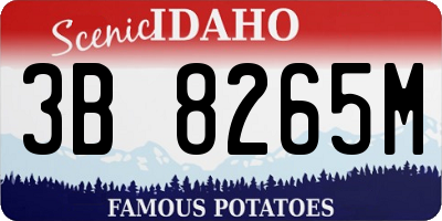 ID license plate 3B8265M