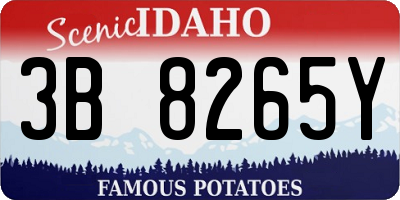 ID license plate 3B8265Y