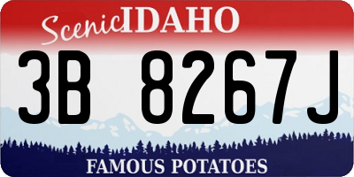 ID license plate 3B8267J