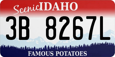 ID license plate 3B8267L