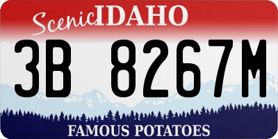 ID license plate 3B8267M