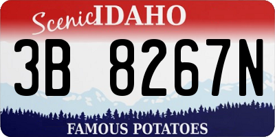 ID license plate 3B8267N