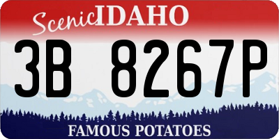 ID license plate 3B8267P