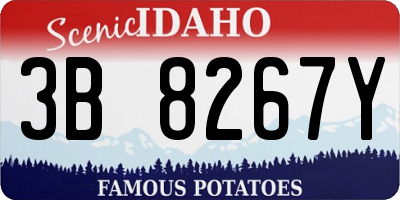 ID license plate 3B8267Y