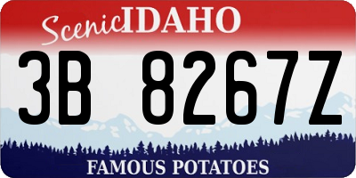 ID license plate 3B8267Z