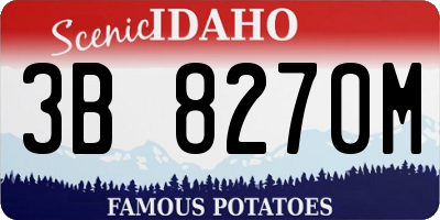 ID license plate 3B8270M