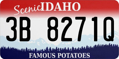 ID license plate 3B8271Q