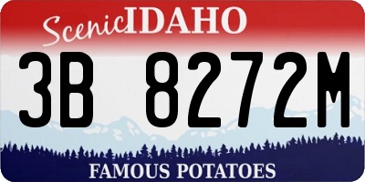 ID license plate 3B8272M