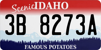 ID license plate 3B8273A