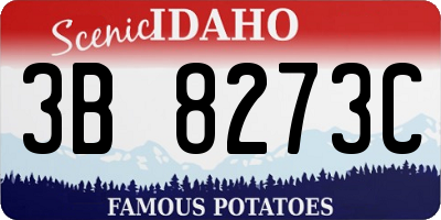 ID license plate 3B8273C