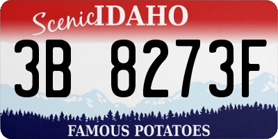 ID license plate 3B8273F