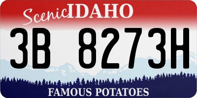 ID license plate 3B8273H